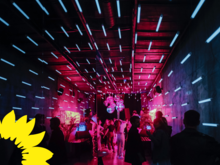 !B Dunkler Raum mit Disco-Atmosphäre, pinkem Licht und tanzenden Menschen