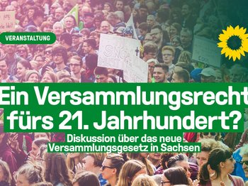 Ein Versammlungsrecht * fürs 21. Jahrhundert? Diskussion über das neue Versammlungsgesetz in Sachsen, Motiv: Menschen auf einer Demo, gelbe Sonnenblume